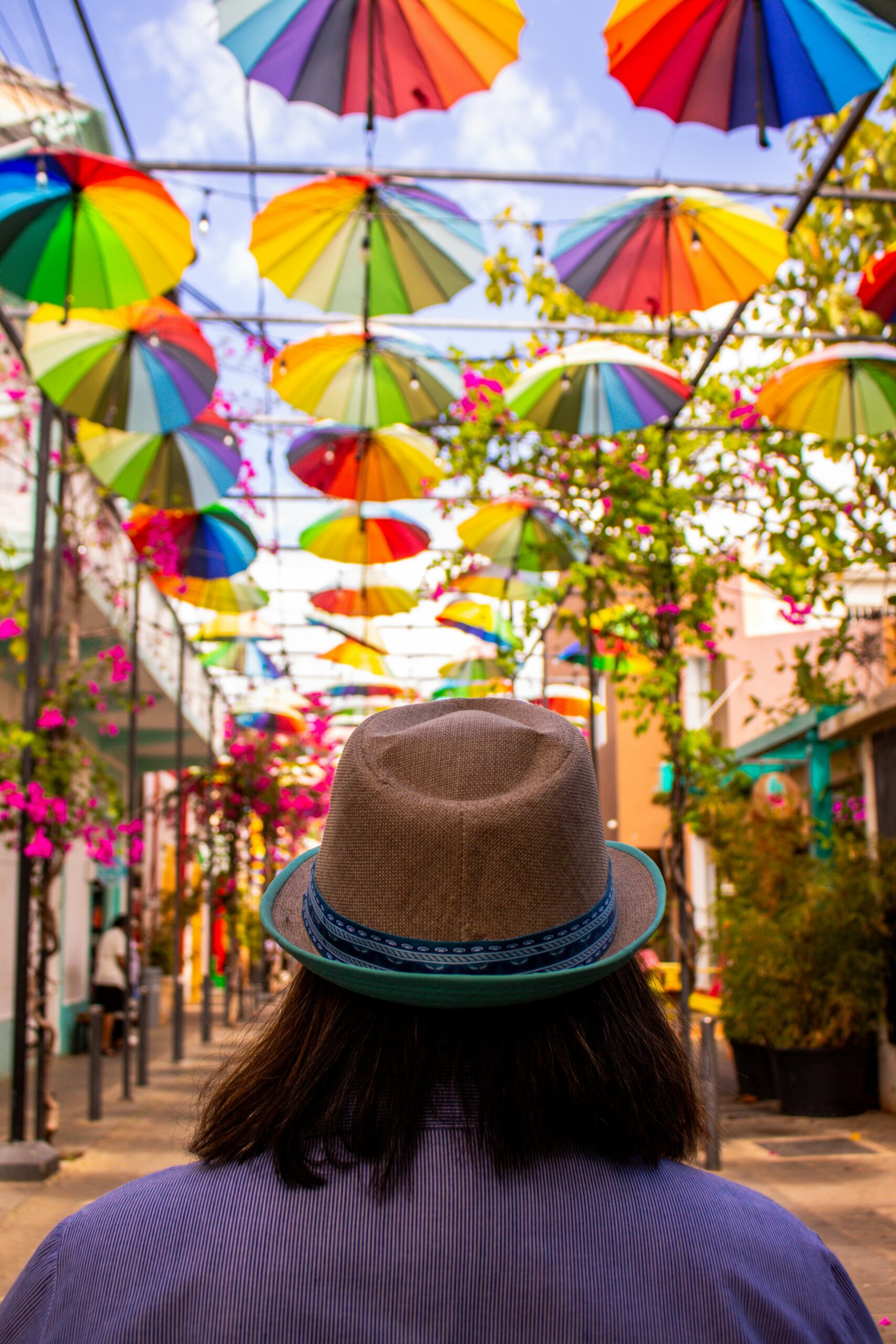 city tours puerto plata