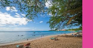 Playa Dorada Beach Experience